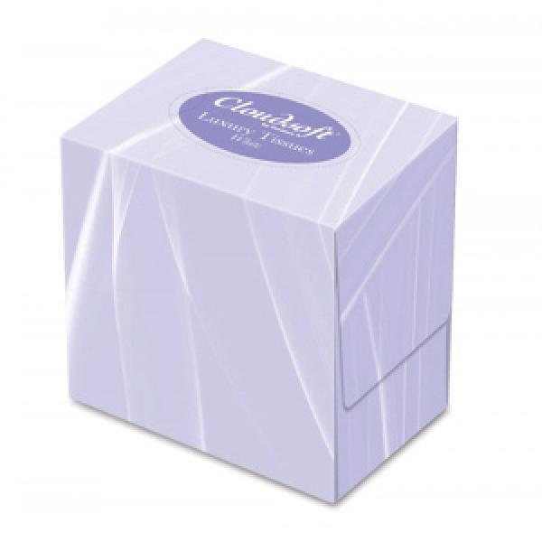 White Cube Facial Tissue 2ply - 70 Sheets